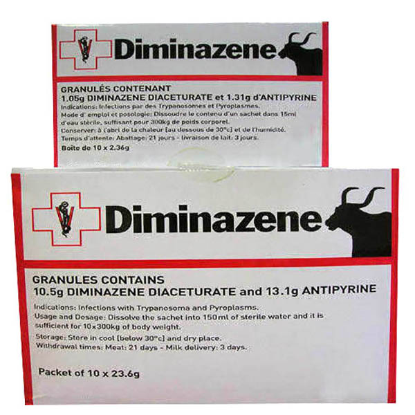 DIMIGIN PLUS