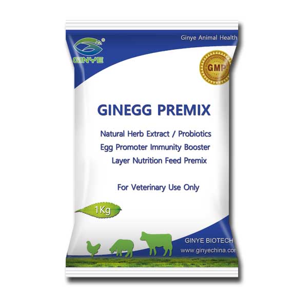 Egg Promoter