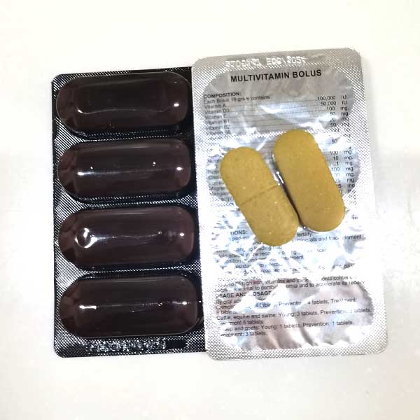 Multivitamin Bolus