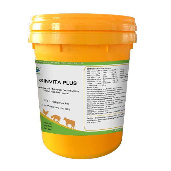 GINVITA PLUS