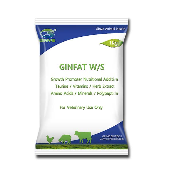 GINFAT W/S