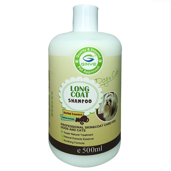 Shampoo