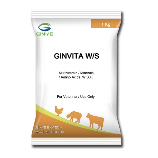 GINVITA W/S