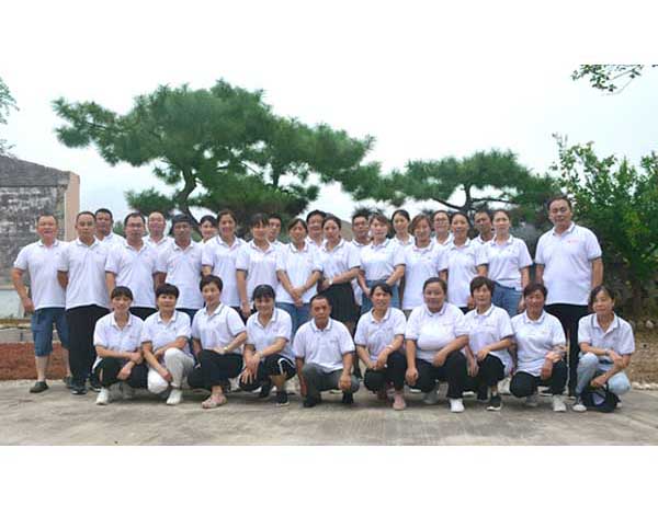 Company one-day tour