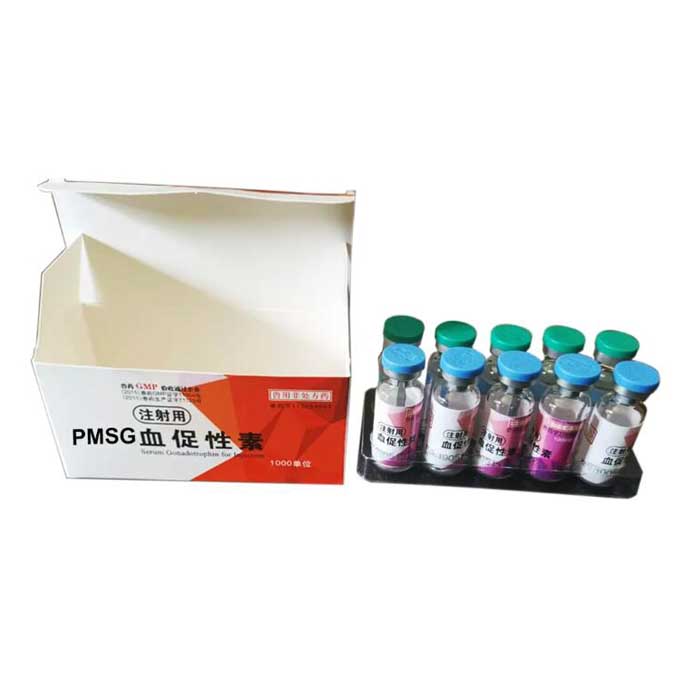 PMSG-1000