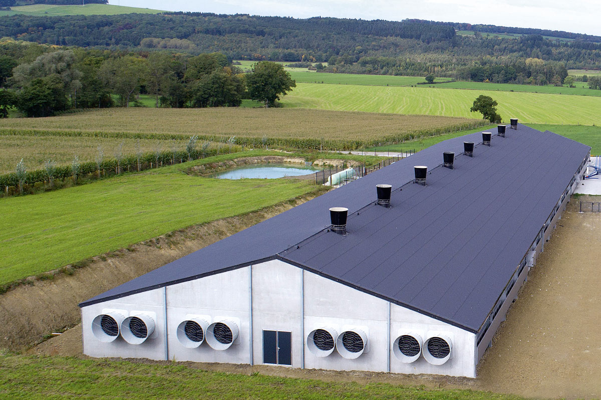 Breeding programa|Normal questions about chicken farm ventilation management