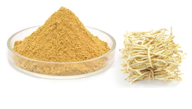 25% Houttuynia polysaccharides