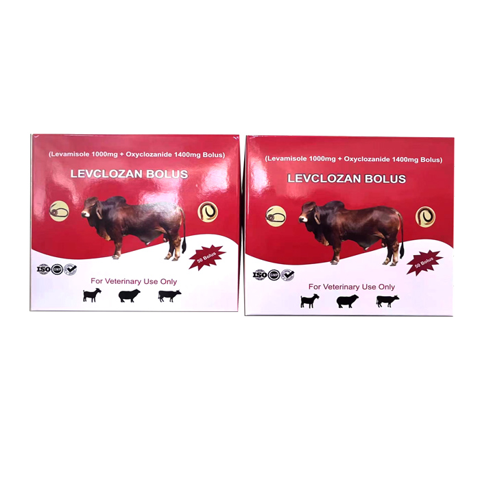 LEVCLOZAN