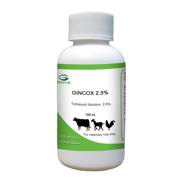 GINCOX 2.5% ORAL