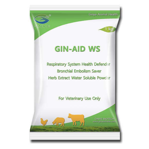 GIN-AID WS