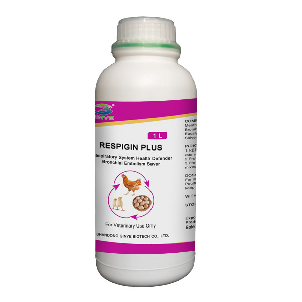 RESPIGIN PLUS