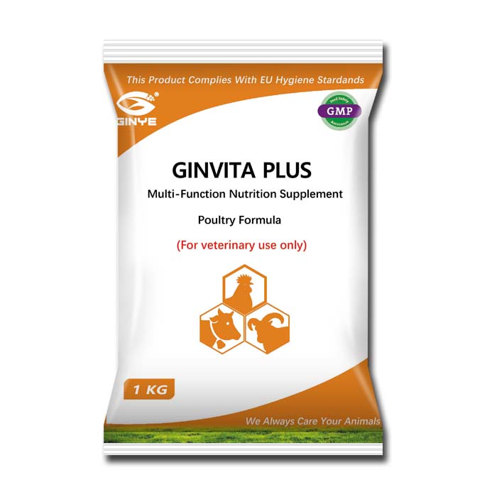 GINVITA PLUS (POULTRY)