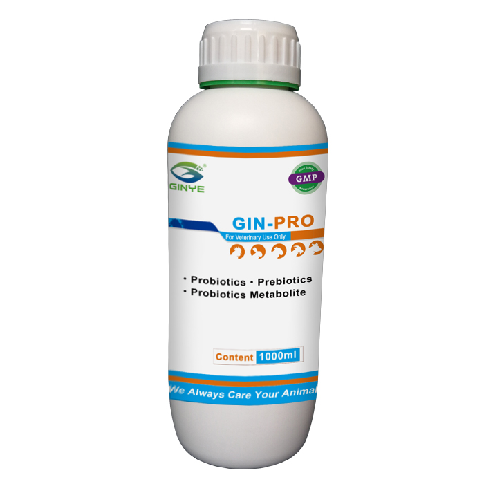 GIN-PRO ORAL