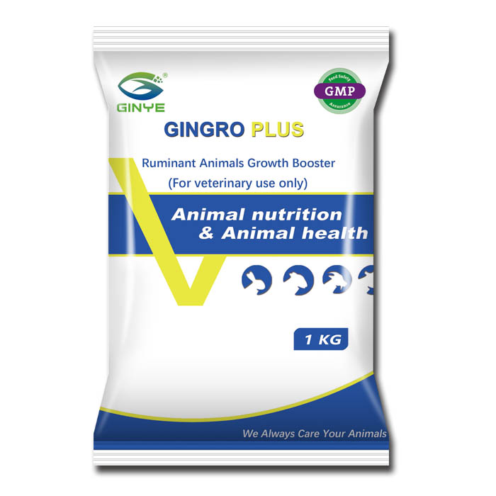 GINGRO PLUS