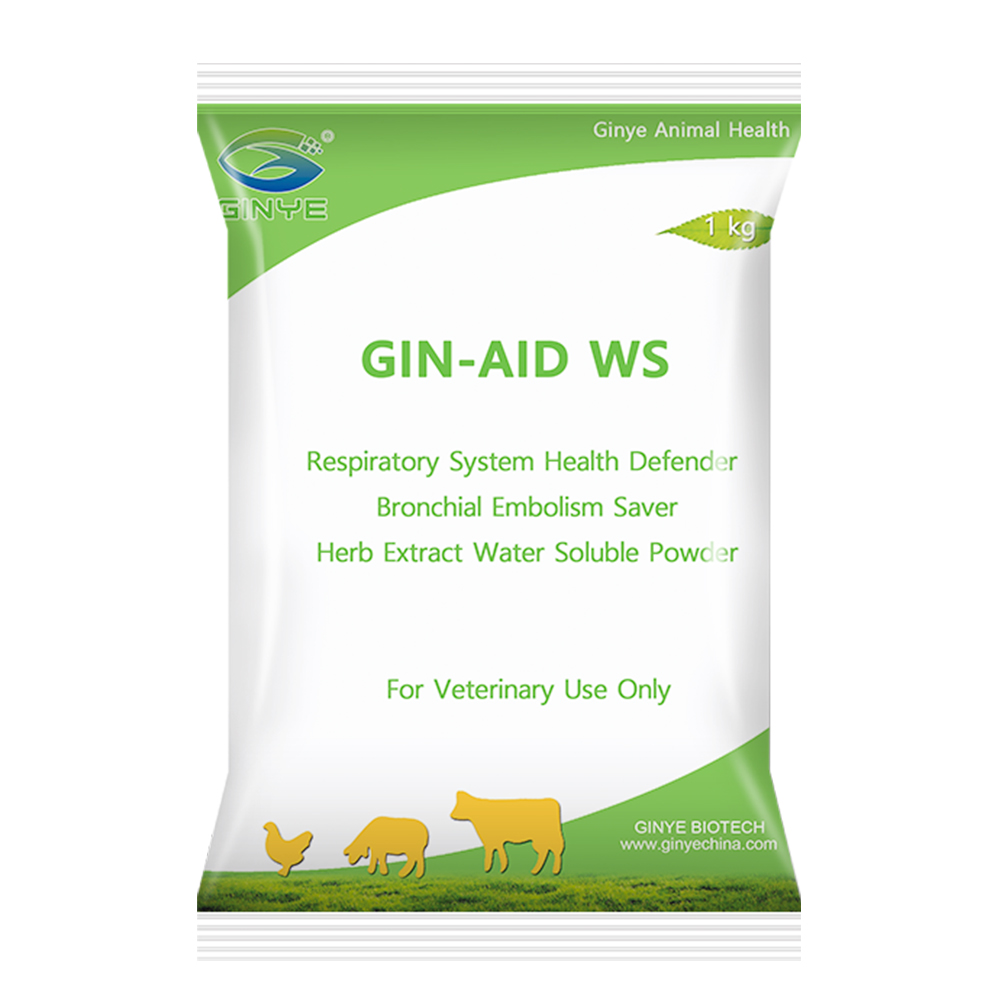GIN-AID WS