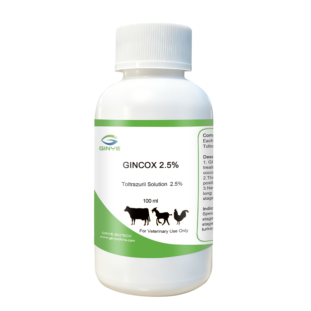 GINCOX 2.5% ORAL