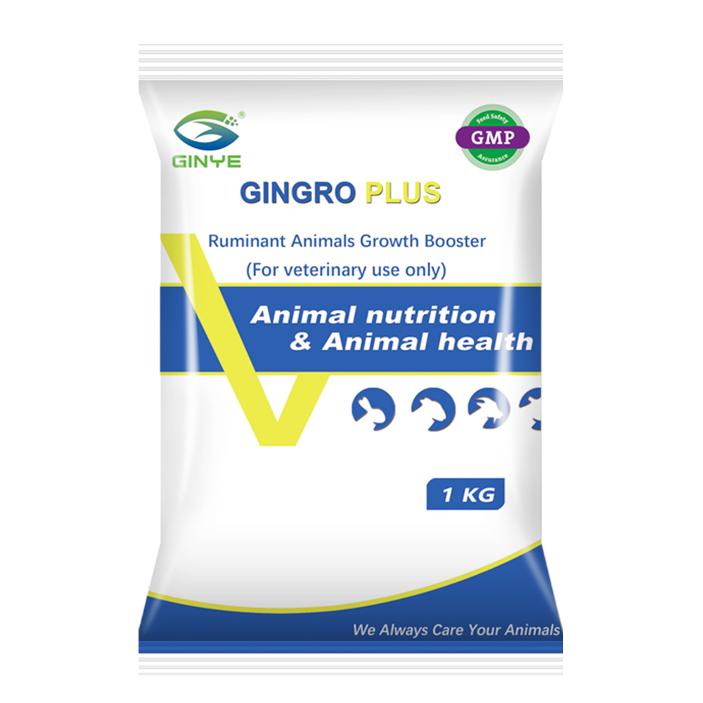GINGRO PLUS