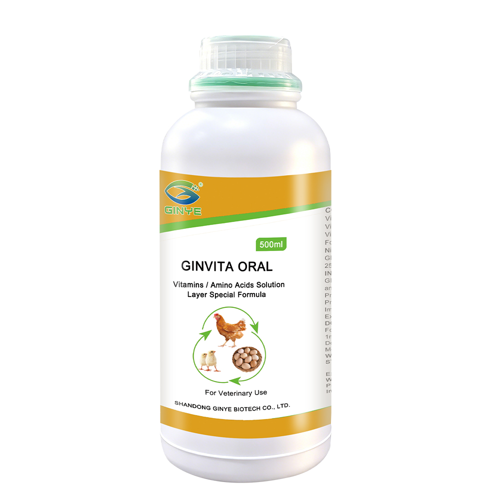 GINVITA Layer