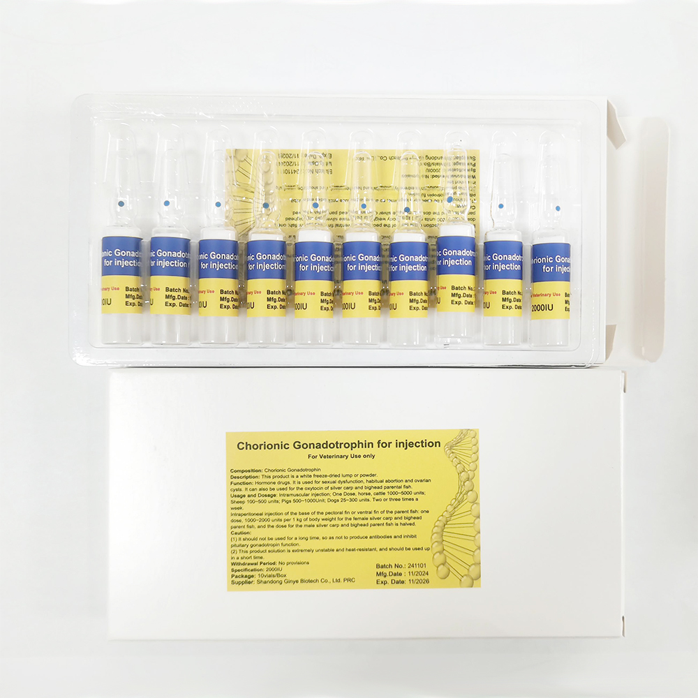 HCG Hormone