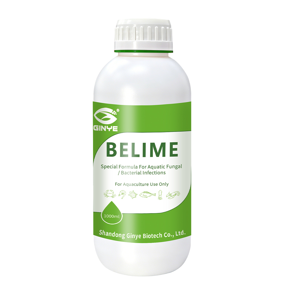 BELIME