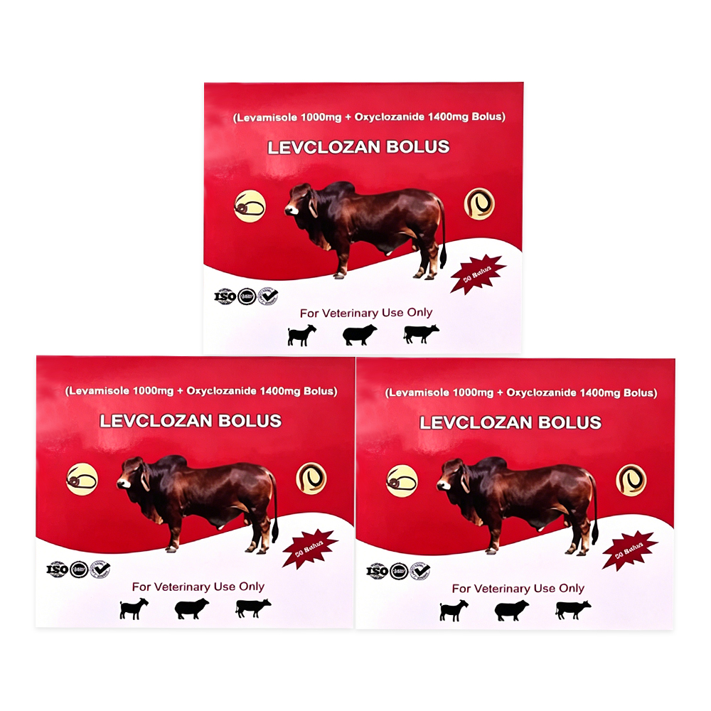 LEVCLOZAN