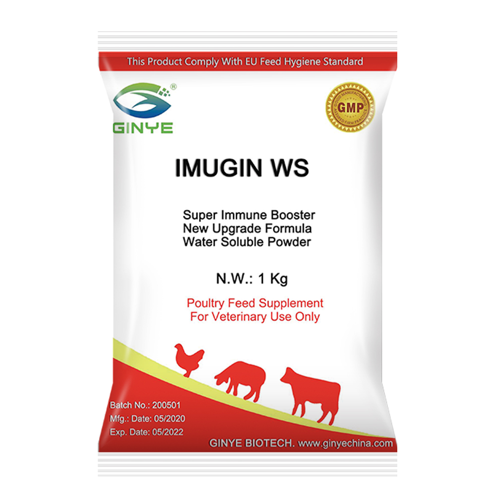 IMUGIN WS