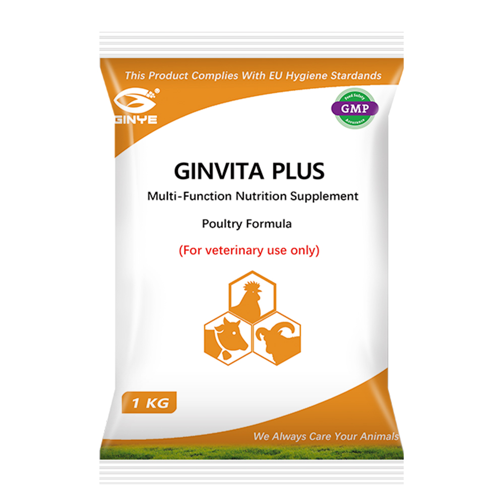 GINVITA PLUS (POULTRY)