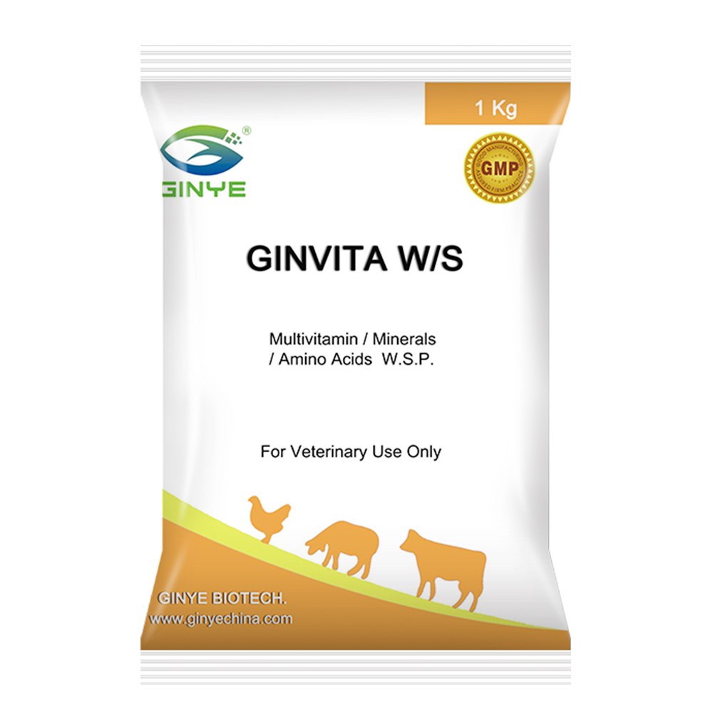 GINVITA W/S