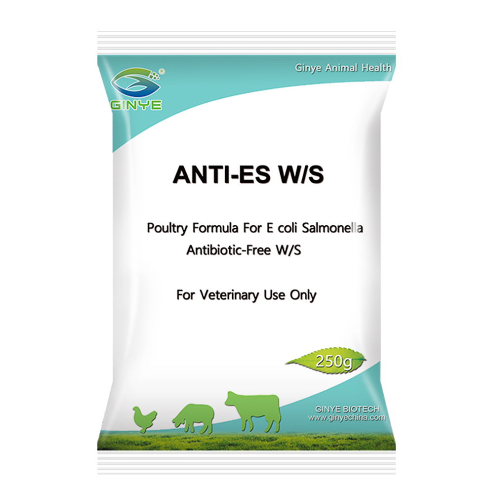 ANTI-ES W/S