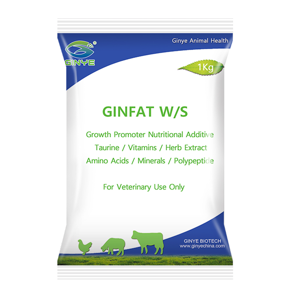 GINFAT W/S
